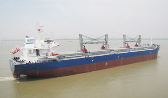 三福船舶工程57000dwt散货船成功交付并离厂，彰显卓越造船实力