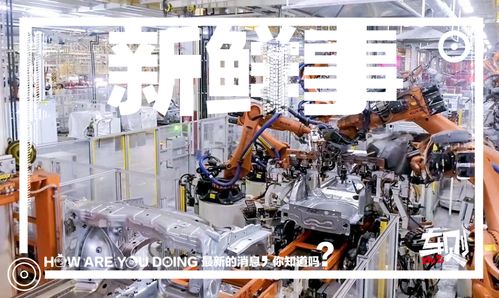 走进上汽大众长沙工厂 车媒老鸟的圆梦之旅，探秘斯柯达泥地打桩机般完美品质